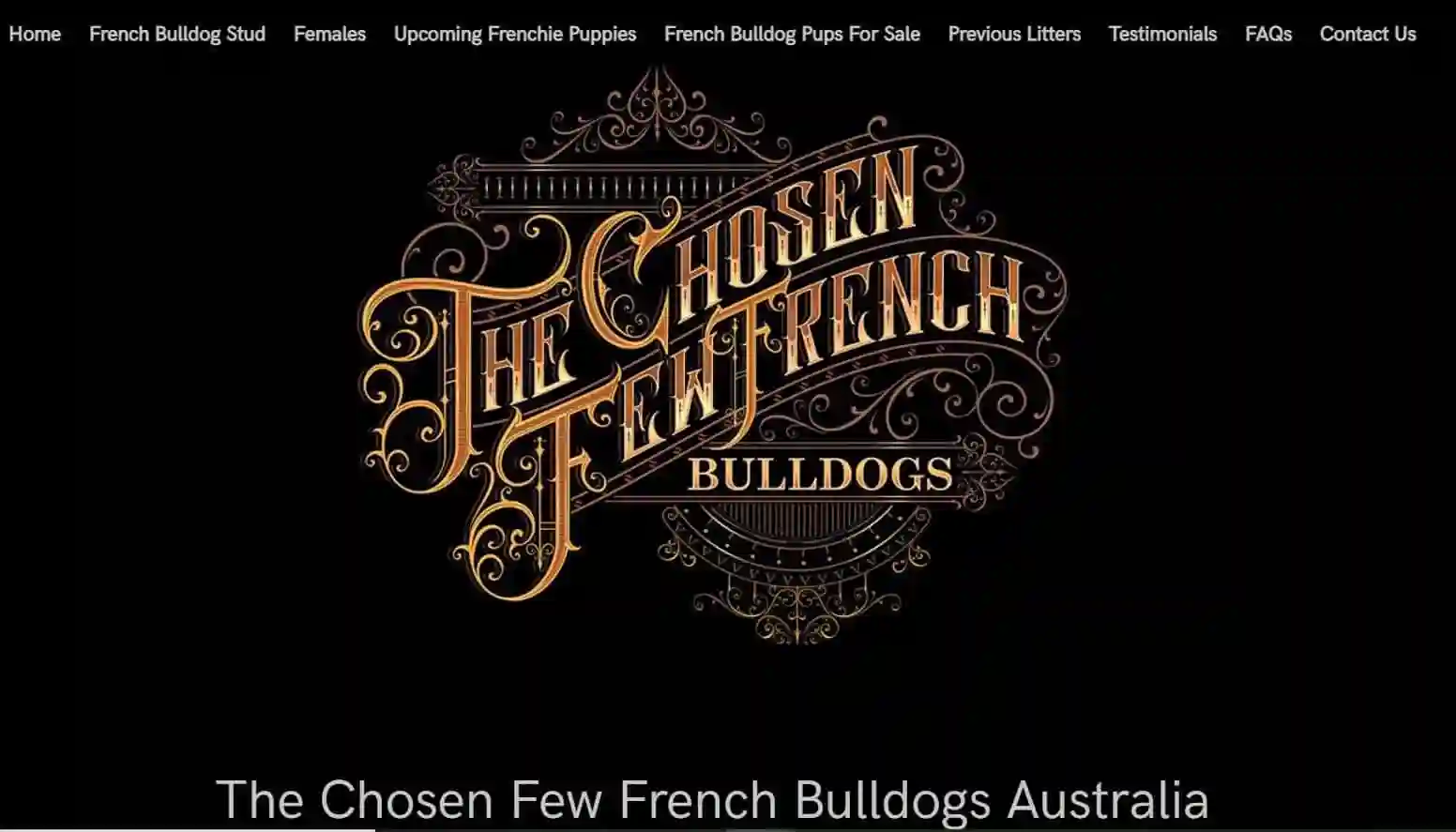French-Bulldogs-Australia